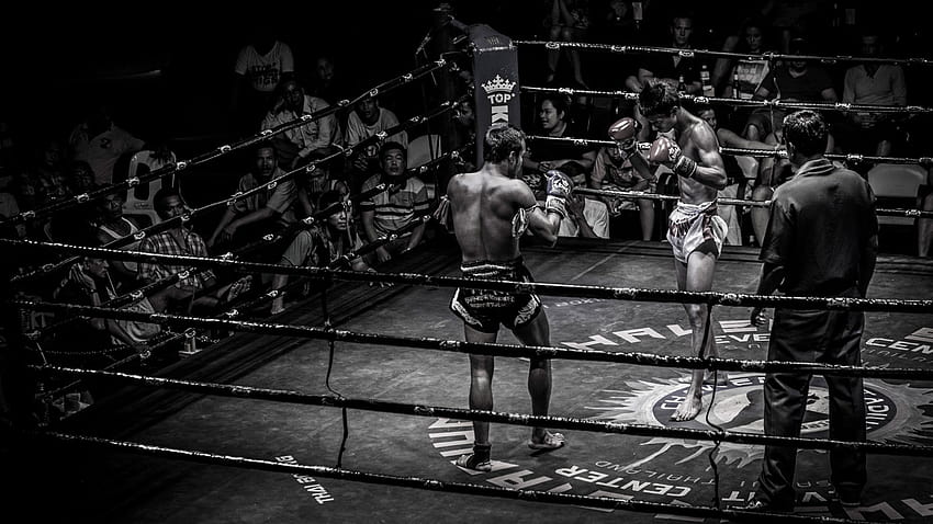desktop wallpaper muay thai boxing ring sport venue professional boxer black combat sport muay thai boxing contact sport striking combat sports pradal serey